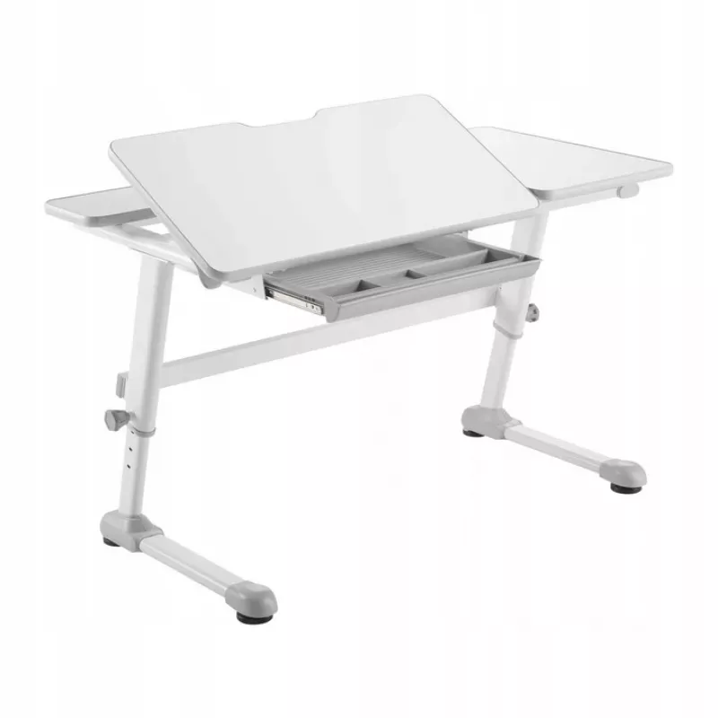 Ergo Office Kinder ergonomisch höhenverstellbarer Schreibtisch, grau, max. 100 kg, ER-417 2cz