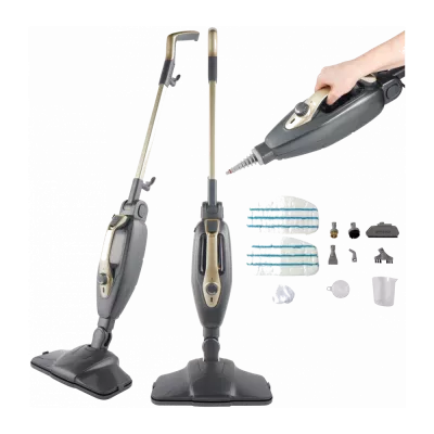 Dampfreiniger