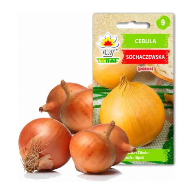 Gemüsesamen