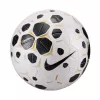 Nike Control 25 Größe 5 Fußball Weiß/Schwarz HV4395 100