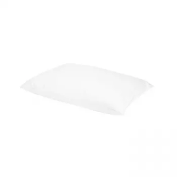 Kissen 100% Entendaunen 1100g 50x70 Hoch