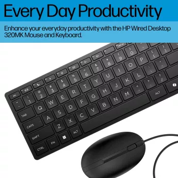 HP Wired Desktop 320MK Maus- und Tastatur-Kombination - Schwarz