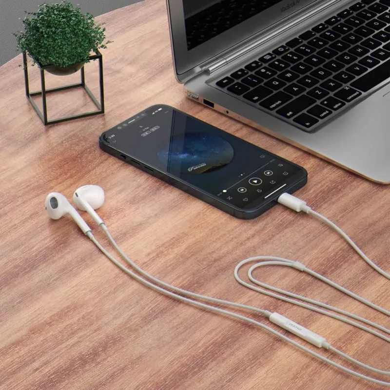 DUDAO X14ProT In-Ear-Kopfhörer mit USB-C-Anschluss, 1,2 m Kabel, Weiß