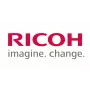 Ricoh D194-2485 (D1942485) Dichtung: Klinge: Anwendung