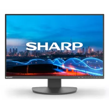 DD-EA241W SCHWARZ 24 ZOLL IPS 1920X1200 16:10 5MS 1000:1 3