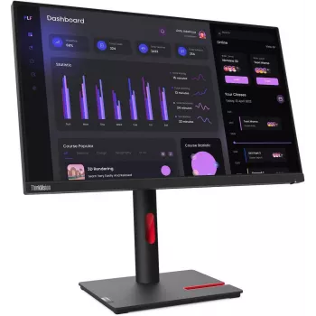 Lenovo T24I-30 Monitor (generalüberholt)