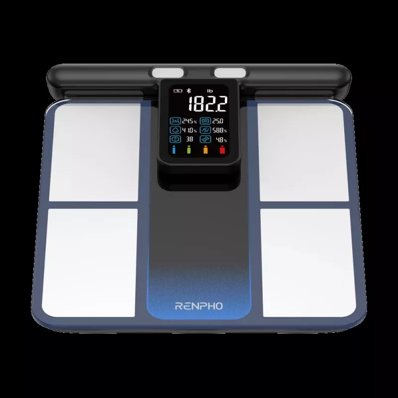RENPHO MorphoScan MSC01 Waage, Schwarz/Silber, USB-C, Bluetooth
