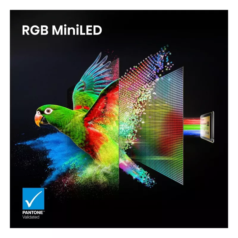 Hisense 65UR9DS 65-Zoll 4K UHD RGB MiniLED Smart-TV, 3840x2160, 170 Hz, 6 ms, HDR, HDMI, USB-C, LAN, WiFi, Bluetooth, Schwarz/Grau