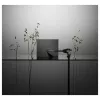 ASUS Zenbook S14 UX5406AA-SU207W Laptop, Intel Core Ultra 9 386H, 32 GB RAM, 1 TB SSD, Windows 11 Home