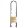 Master Lock 1950EURDCC Verstellbares Bügelschloss 50 mm massiver Messingkörper Schlüsselschloss