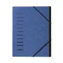 Pagna 40059-02 Ordnungsmappe mit 12 Fächern, A4, Blau