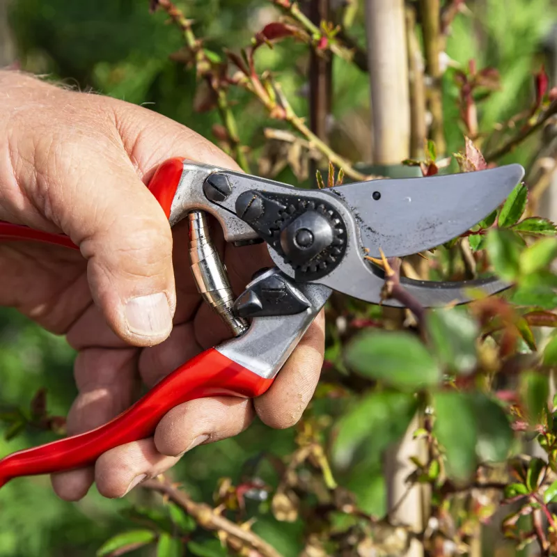 FELCO 9 Linkshänder-Bypass-Astschere - Geschmiedetes Aluminium