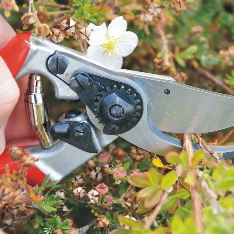 FELCO 9 Linkshänder-Bypass-Astschere - Geschmiedetes Aluminium