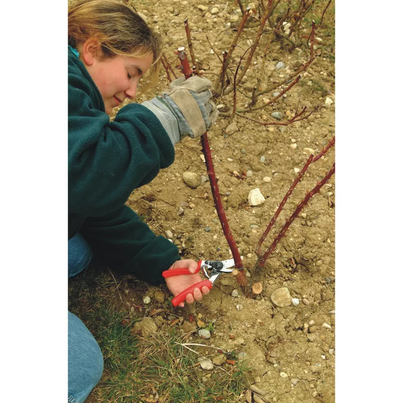 FELCO 10 Classic Linkshänder-Gartenschere