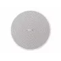 Bose DesignMax DM2C-LP Deckenlautsprecher 16 Watt Arctic White (RAL 9003)