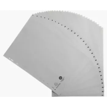 Exacompta 1931E Register 1-31, A4, Polypropylen, Grau