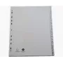 Exacompta 2931E A4 Maxi Ordnerregister 1–31, grau