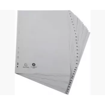 Exacompta 2931E Ringbuch A4 - Grau - 100% recyceltes Polypropylen - 2 Ringe 20 mm - Rücken 30 mm - Kapazität 180 Blatt
