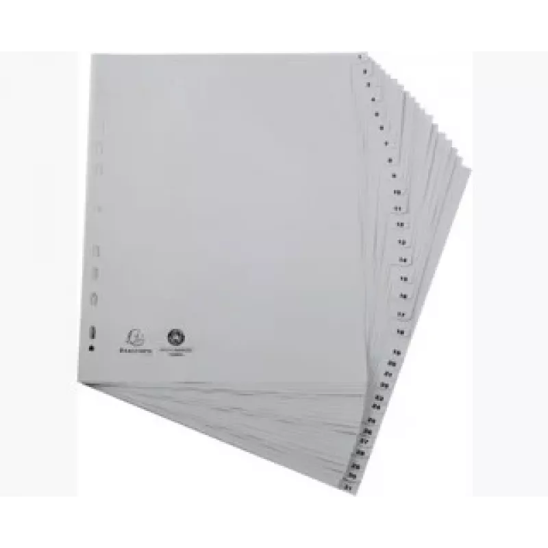 Exacompta 2931E A4 Maxi Ordnerregister 1–31, grau