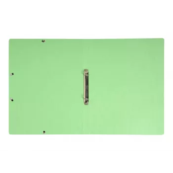Exacompta Iderama Ringbuch A4, 20 mm Rücken, Anisgrün (54893E)