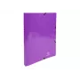 Exacompta Iderama Ringbuch A4, 20 mm Rücken, Violett (54896E)