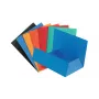 Exacompta 56400E A4 Mehrfarbige Register - 200 Blatt, 250x320 mm, 100% Recyclingkarton, Universal-Lochung, Blauer Engel zertifiziert