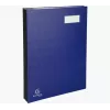 Exacompta 57022E A4 Karton-Hängehefter Blau 240 g/m² 240x350 mm