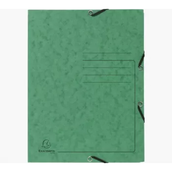 Exacompta Sammelmappe 55403E DIN A4 3 Klappen Karton Grün