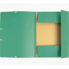 Exacompta Sammelmappe 55403E DIN A4 3 Klappen Karton Grün