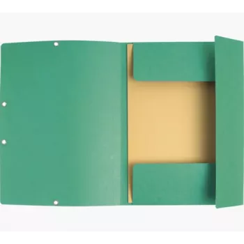 Exacompta Sammelmappe 55403E DIN A4 3 Klappen Karton Grün