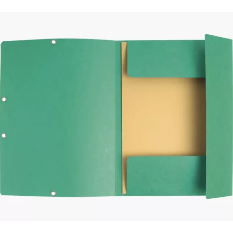 Exacompta Sammelmappe 55403E DIN A4 3 Klappen Karton Grün