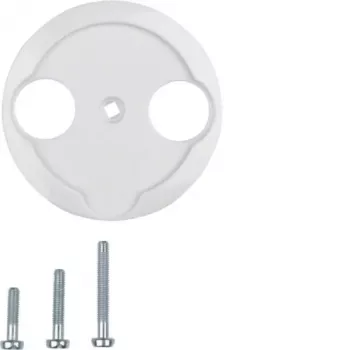 Hager Zentralplatte WTF4592PW für Antennendose 2-Loch 1930/Glas Polarweiß
