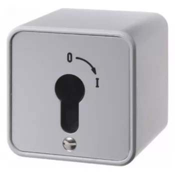 Hager WDE4466 Schlüsselschalter, Aufputzmontage, für Profil-Halbzylinder, Druckguss-Zink, IP54