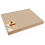 PROnappe 100 Tischsets Beige 30 x 40 cm