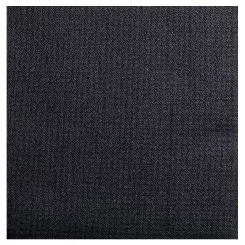 PROnappe Papierservietten Schwarz 2-lagig 19,0 x 19,0 cm 40 Stück