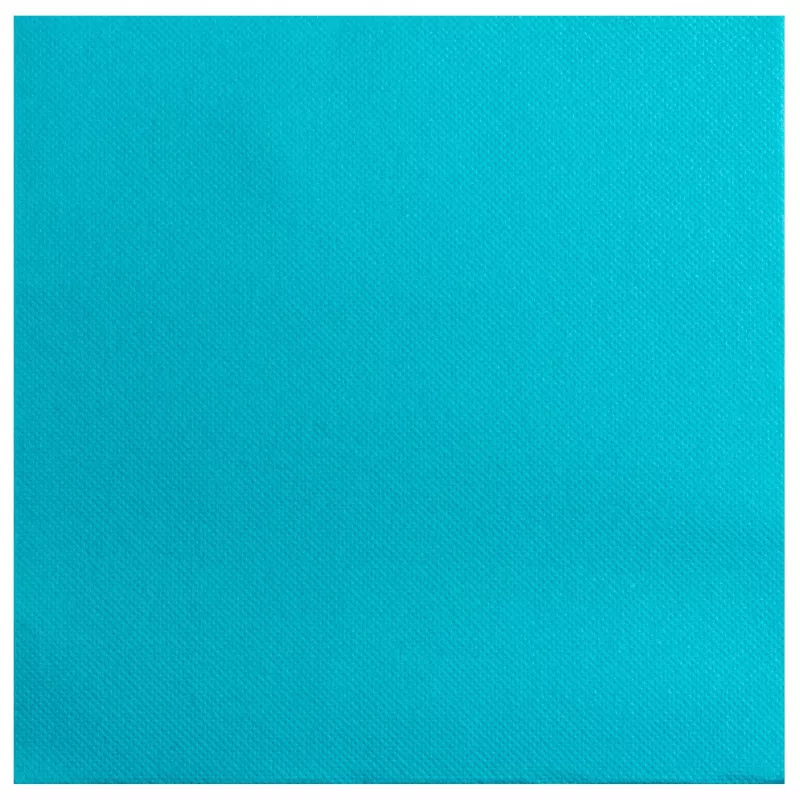 PROnappe Servietten Türkis 2-lagig 19,0 x 19,0 cm 40 Stück