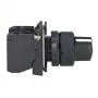 Schneider Electric XB5 Drucktaster, Schwarz, 220-240 V, 10 A