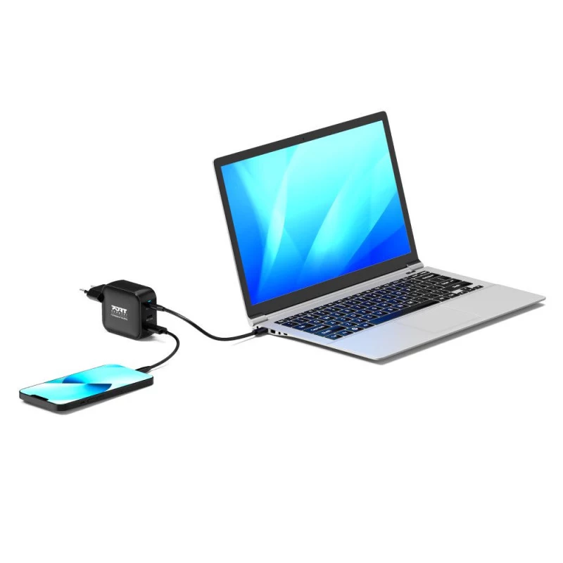 PORT Designs Wall Charger Type C PD 100W GaN+ C to C Cable 2M EU