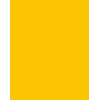 Folia 614/50 15 Cardstock A4 Gold-Yellow 300 g/m² 50 Sheets