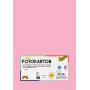 Folia 614/50 26 - Rose - Plain - A4 (210 x 297 mm) - 300 g/m² - 50 Blatt - Deutschland
