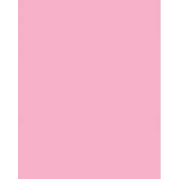 Folia 614/50 26 - Rose - Plain - A4 (210 x 297 mm) - 300 g/m² - 50 Blatt - Deutschland