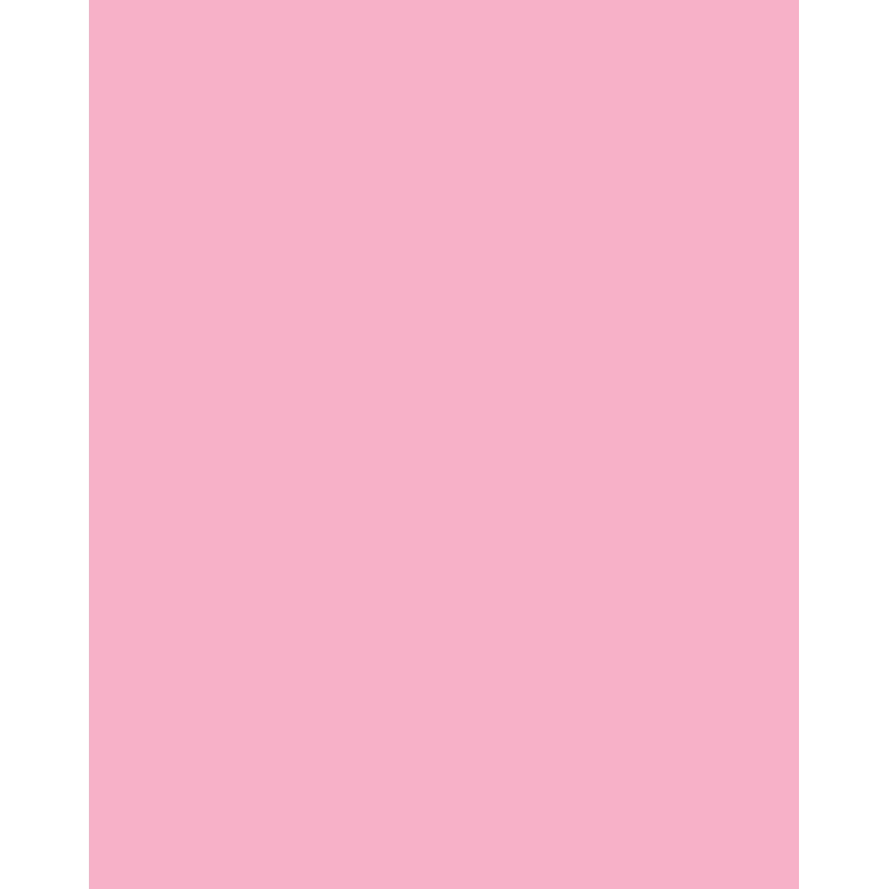Folia 614/50 26 - Rose - Plain - A4 (210 x 297 mm) - 300 g/m² - 50 Blatt - Deutschland