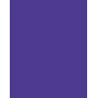 Folia 614/50 32 - Violett - Unifarbe - A4 (210 x 297 mm) - 300 g/m² - 50 Blatt - Deutschland