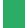 Folia 614/50 54 - Grün - Einfarbig - A4 (210 x 297 mm) - 300 g/m² - 50 Blatt - Deutschland