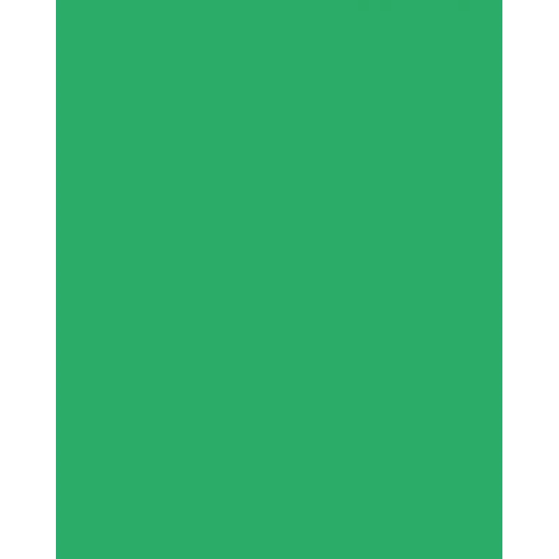 Folia 614/50 54 - Grün - Einfarbig - A4 (210 x 297 mm) - 300 g/m² - 50 Blatt - Deutschland
