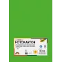 Folia 614/50 55 - Grün - Uni - A4 (210 x 297 mm) - 300 g/m² - 50 Blatt - Deutschland