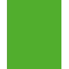 Folia 614/50 55 - Grün - Uni - A4 (210 x 297 mm) - 300 g/m² - 50 Blatt - Deutschland
