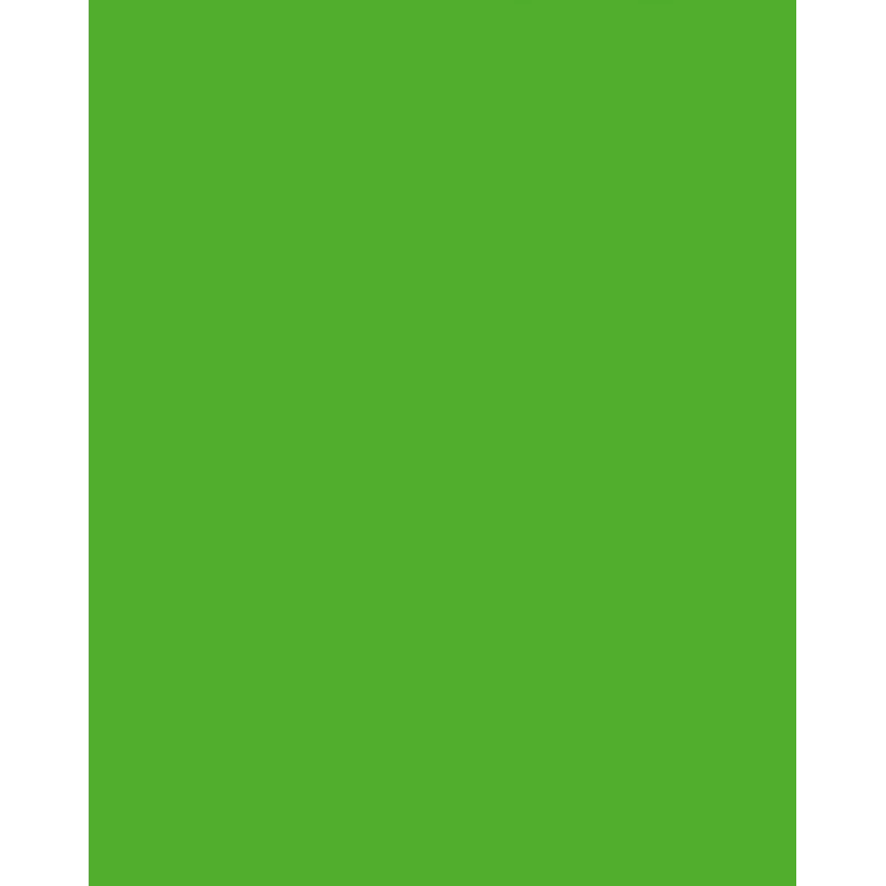 Folia 614/50 55 - Grün - Uni - A4 (210 x 297 mm) - 300 g/m² - 50 Blatt - Deutschland