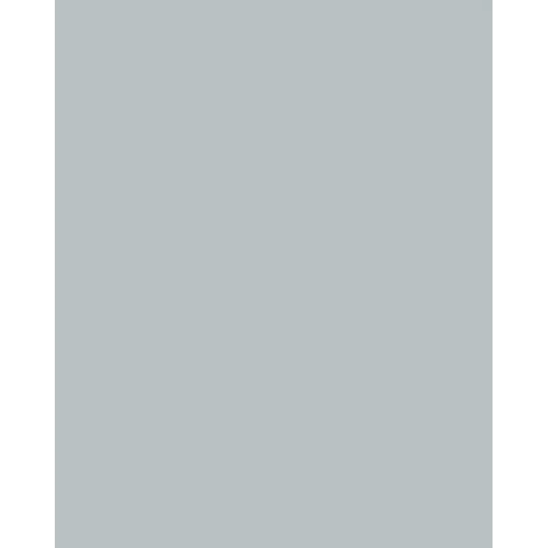 Folia 614/50 60 Design Paper - Silber - A4 (210 x 297 mm) - 300 g/m² - Matt - 50 Blatt