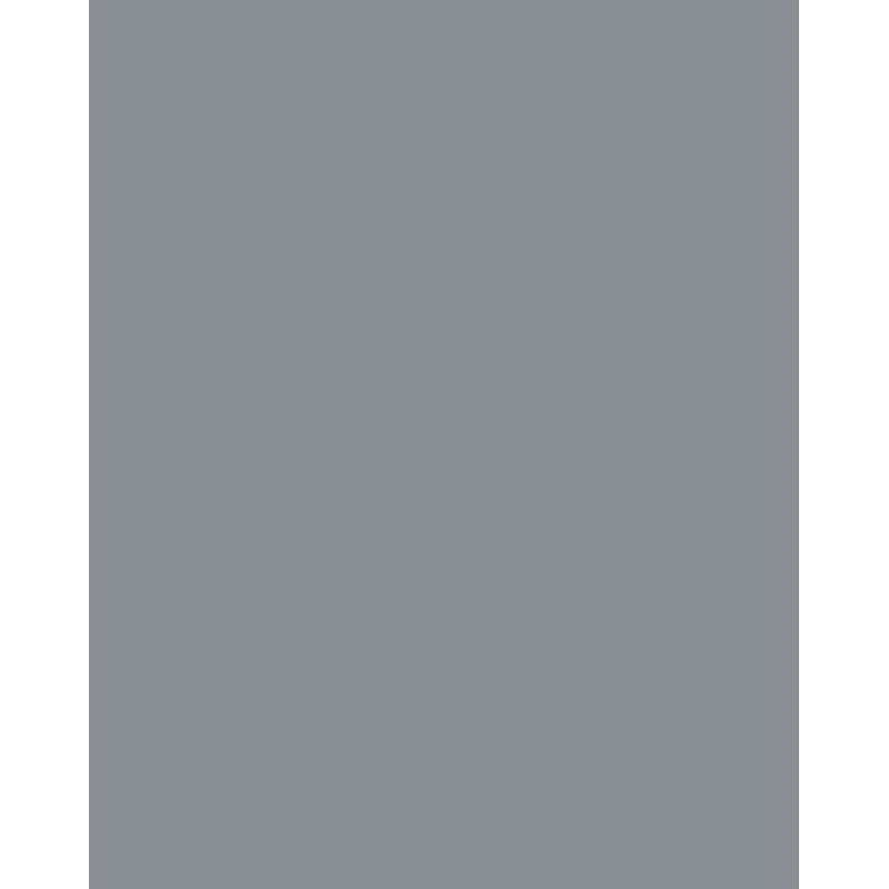 Folia 614/50 84 - Grau - Uni - A4 (210 x 297 mm) - 300 g/m² - 50 Blatt - Deutschland